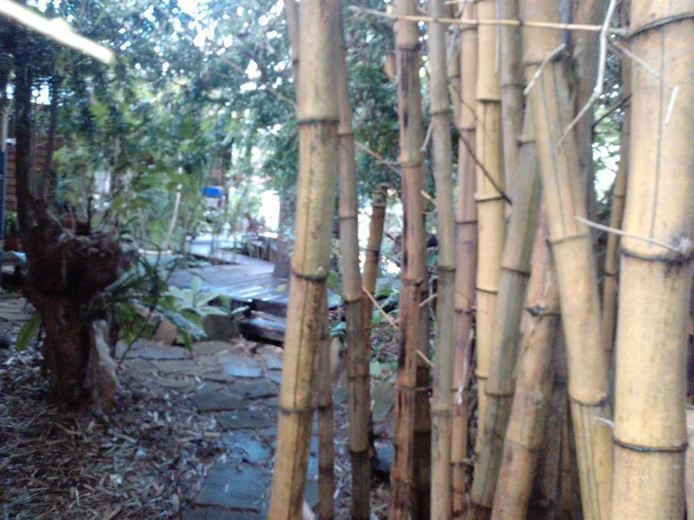 Hotell Bamboo Cottage Guesthouse B&B
